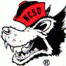 1999NCSU