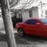 Iomcamaro