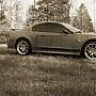 stang03