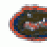 gator1