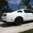 mustangmikeFL