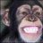 spacemonkey