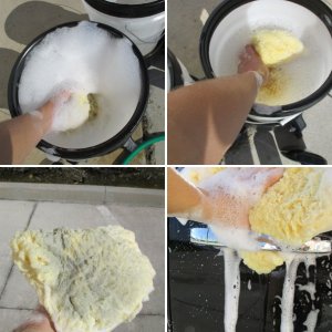 dual wash bucket system