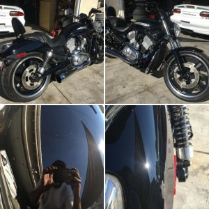 2004 Harley Davidson VRod