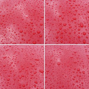 carpro essence