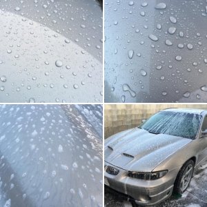 Adams Strip Wash