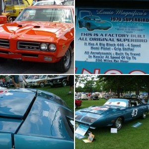 69 GTO Judge