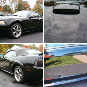 mustang03
