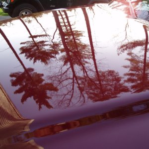 Reflection