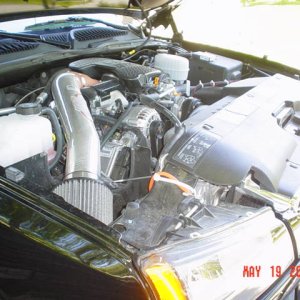 Picture_860