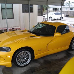 viper