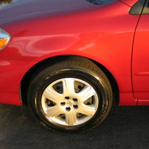 Glossy Corolla