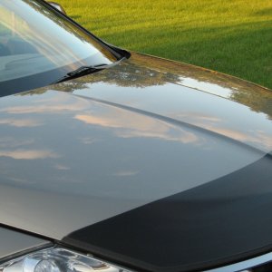 Pewter Murano Hood