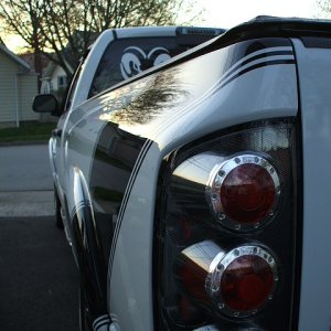Picture_131