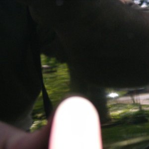 Troy_s_Car11-11