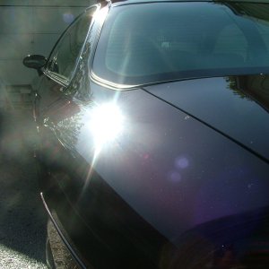 Cars_016