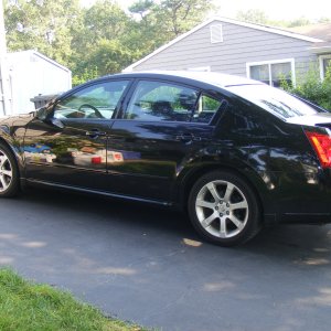 Troys_Maxima1