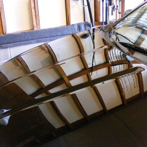 Troys_Maxima12