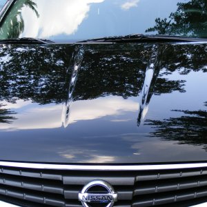 Troys_Maxima16