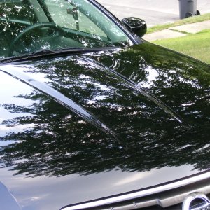 Troys_Maxima18