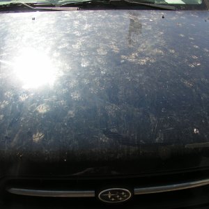 cars_041