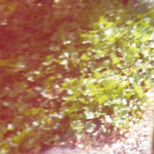 Jen_Shouses_Expedition27