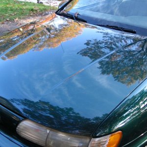 Picture_009a