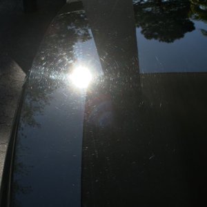 trunk-before