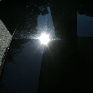 trunk-50-50