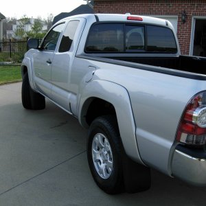Tacoma Natty's red D