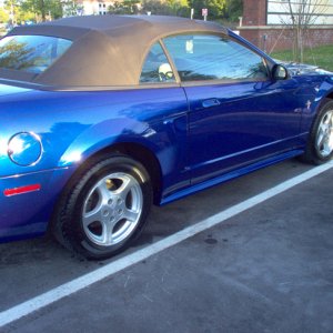 Express Wax (Mustang)