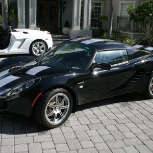 lotus-5
