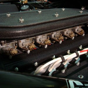 Daytona Spyder