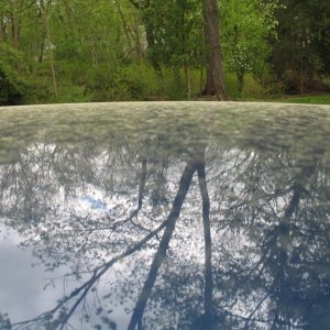 IMG_1484resize