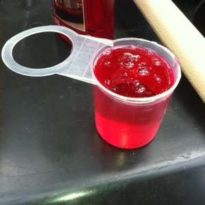 IMG_0052
