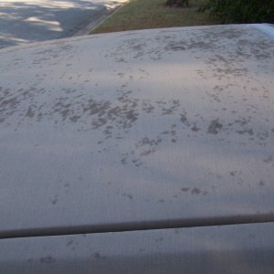Half Top, Curb side