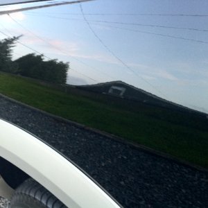 photo_3