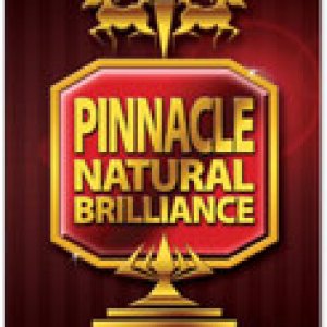 pinnacle-book