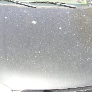 Before-99CamryHood