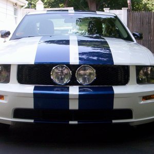 Eleanor grille