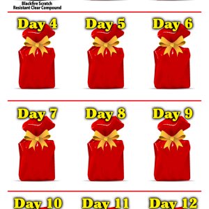 ACC-12-days-pa-1