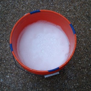 BF WDCS Rinse After