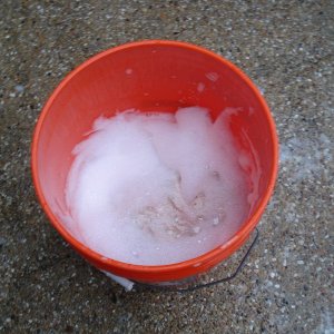 BF WDCS Wash After