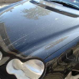 MB Before