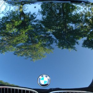 M5 After