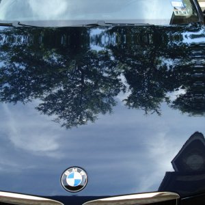 BMW 325i After