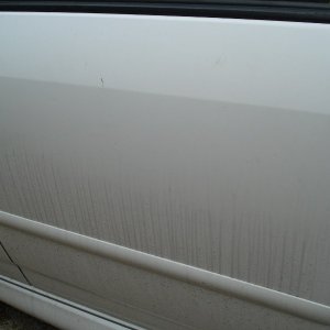 Corolla Before