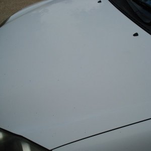 Corolla Before5
