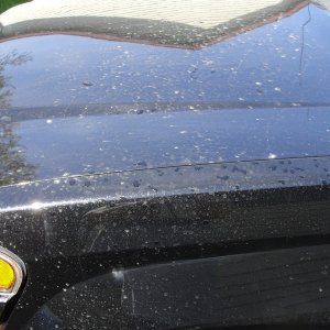 Dirty_2