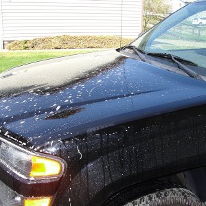 Wash_1
